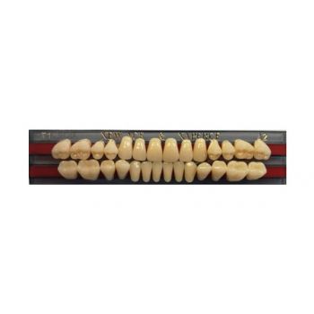 Zęby akrylowe Yamahachi